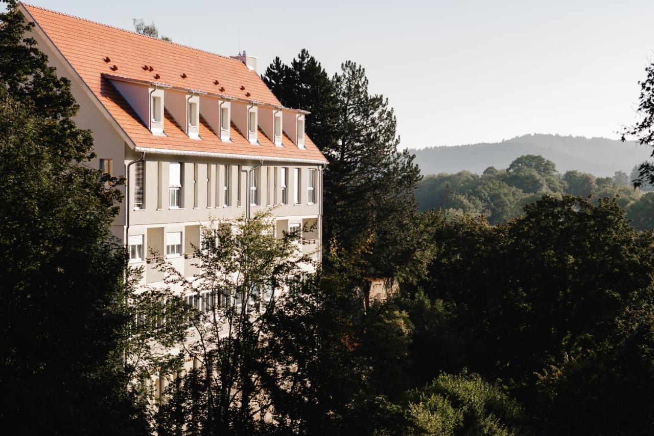 Maiers Johanniterbad Ringhotel ロットヴァイル エクステリア 写真