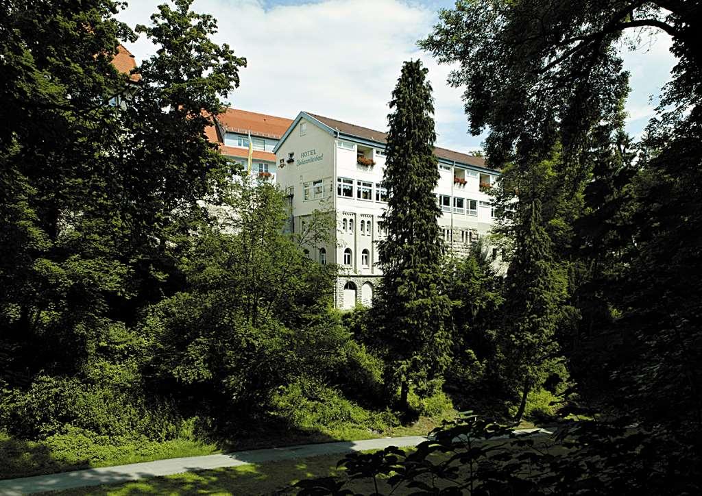 Maiers Johanniterbad Ringhotel ロットヴァイル エクステリア 写真